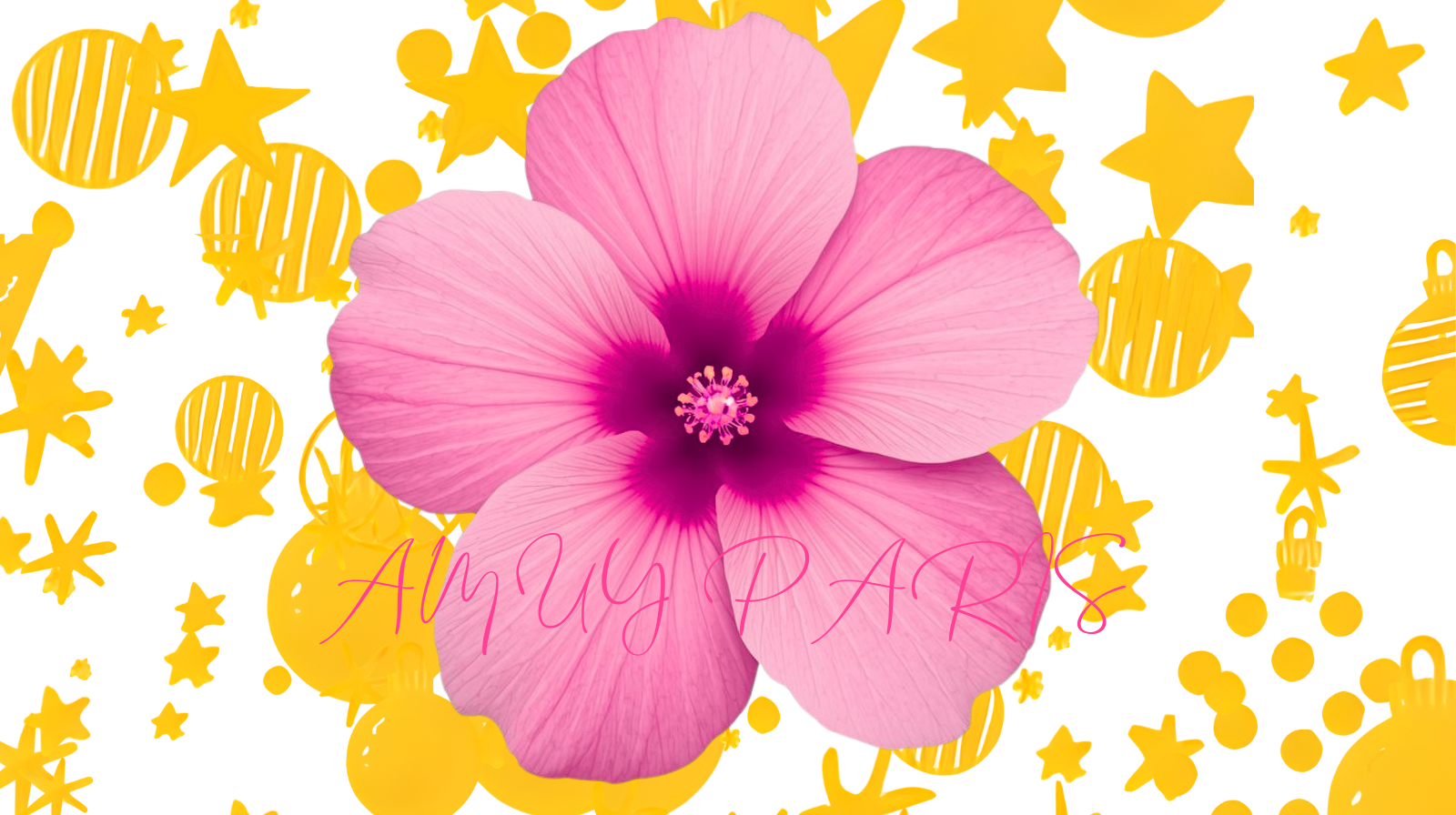 🌸 Bienvenue dans la boutique Amuy Paris 🌸